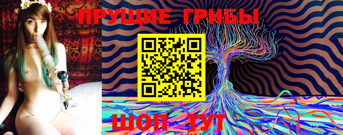 Карасук  Галлюциногенные грибы GOLDEN TEACHER  Вход с VPN 