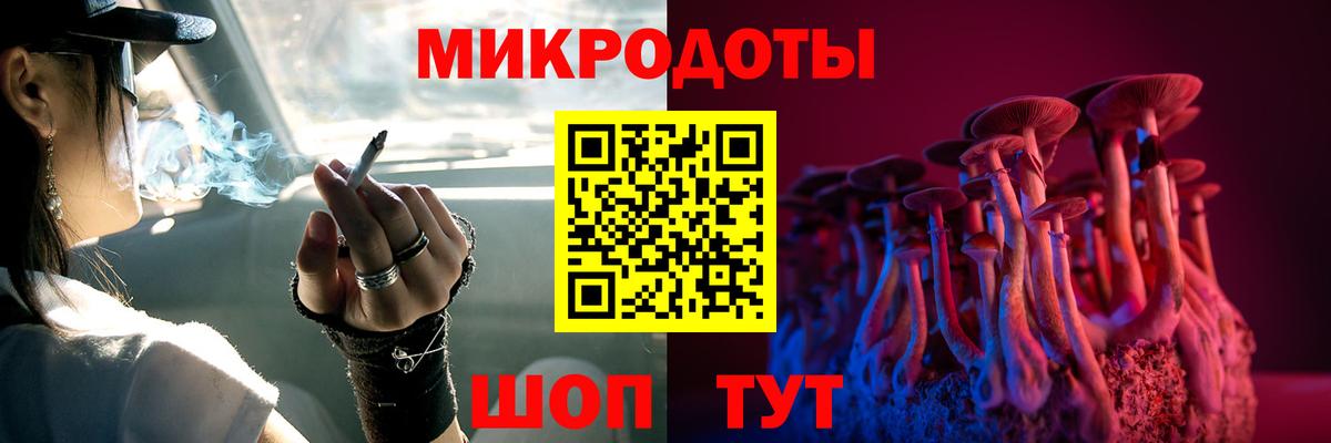 Псилоцибиновые грибы Psilocybe Карасук